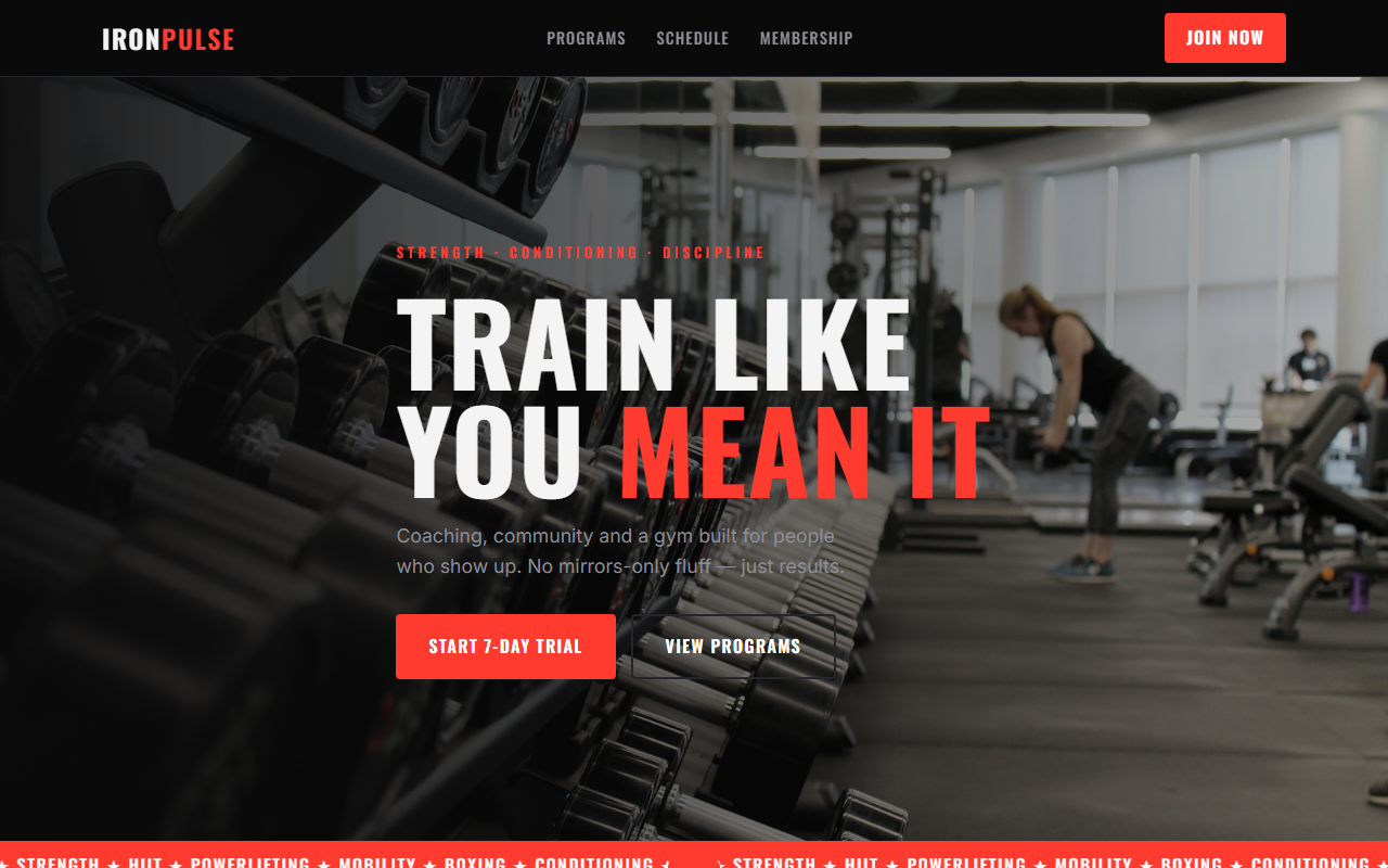 IRONPULSE website preview